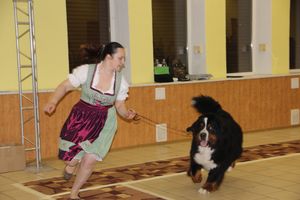 Всероссийская выставка собак в Великих Луках (фото)