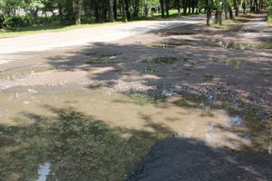 Великие Луки после дождичка в четверг (ФОТО)