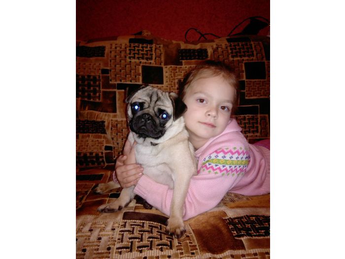 Объявляем победителей фотоконкурса «Косточка к Новому году» (ФОТО)