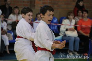Великолучане стали победителями турнира по каратэ «Неприкосновенный запас, дети — Отчизны 2015» (фото)