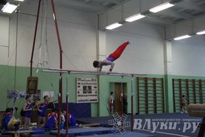 В Великих Луках прошло Первенство Области по спортивной гимнастики (фото)