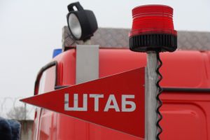 В Острове прошли пожарно-тактические учения (фото)