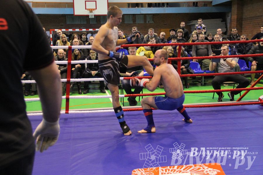 В Великих Луках прошел межрегиональный Открытый Кубок по смешанному боевому единоборству (фото)