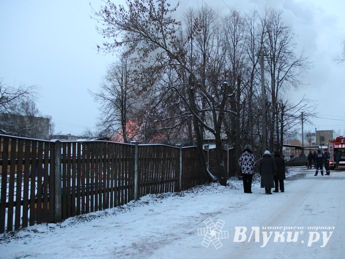 В Великих Луках горел автосервис (фото)
