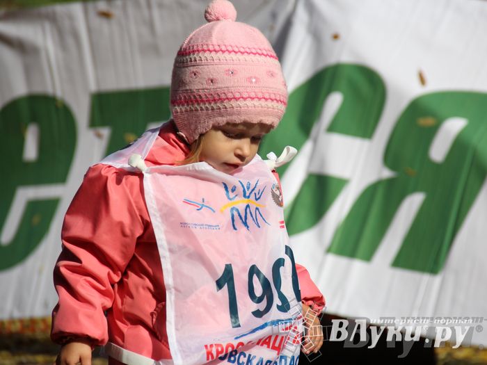 Кросс нации