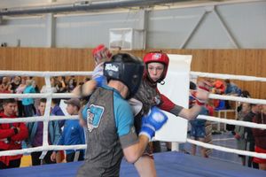 1-й Фестиваль боевых искусств состоялся в Великих Луках  (ФОТО)