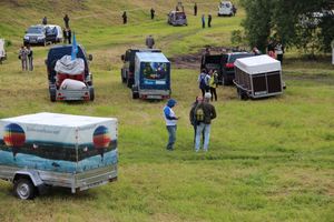 Не взлетели... (ФОТО)