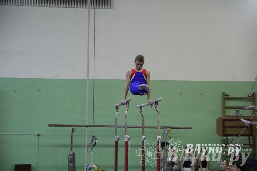 В Великих Луках прошло Первенство Области по спортивной гимнастики (фото)