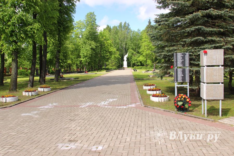Полиция Великих Лук разыскивает малолетних вандалов