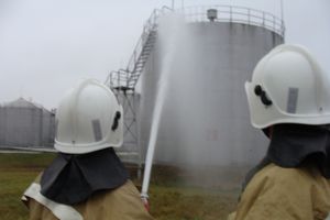 В Острове прошли пожарно-тактические учения (фото)