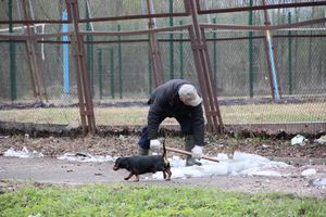На острове Дятлинка проходит субботник