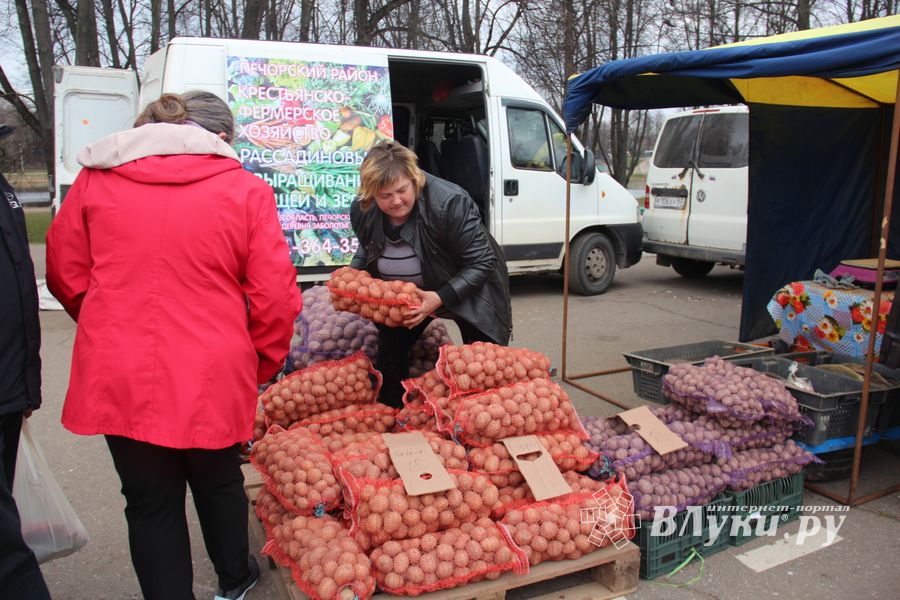 В Великих Луках прошла универсальная ярмарка «Весна-2019» (ФОТО)