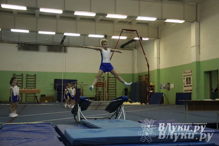 В Великих Луках состоялось Первенство по командной гимнастике (фото)