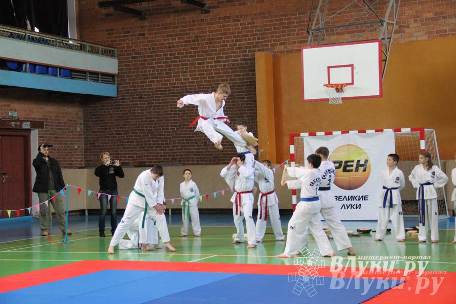 В Великих Луках прошло Первенство по тхэквондо (фото)