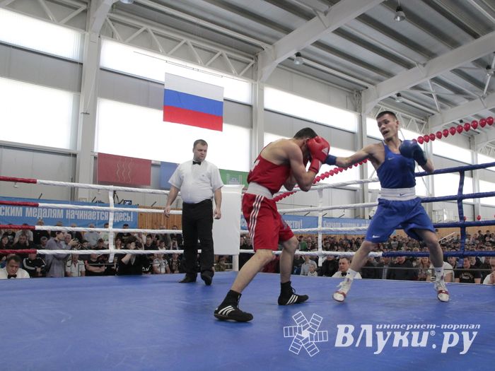 Матчевая встреча по боксу Великие Луки —Псков — Грозный (ФОТО)