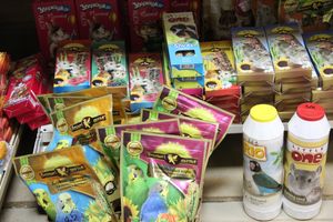 «Zooбастики»: подарите праздник своим любимцам! (ФОТО+ВИДЕО)