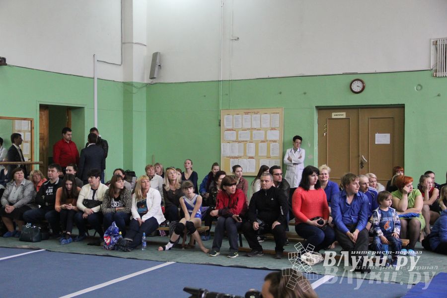 В Великих Луках прошел турнир по спортивной гимнастике (фото)