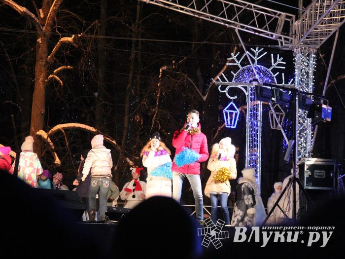 В Великих Луках зажглась новогодная ёлка (ФОТО)