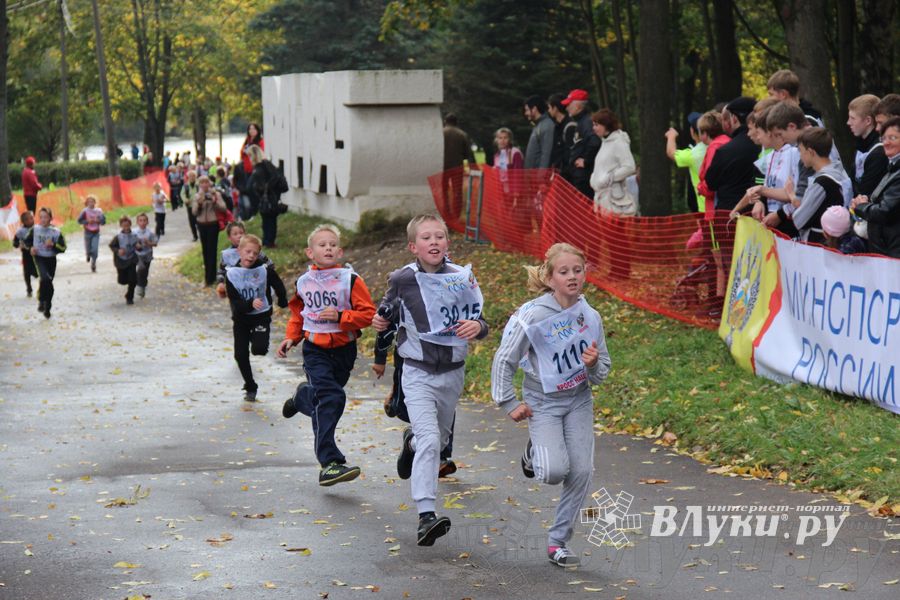 Кросс нации