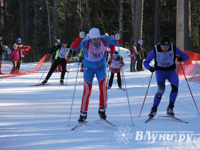 Всероссийская массовая лыжная гонка «Лыжня России 2015» состоялась в Великолукском районе (фото)