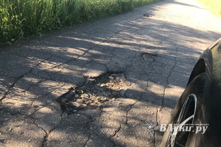 Губернатора просят отремонтировать дорогу в Рыжаково (ФОТО)