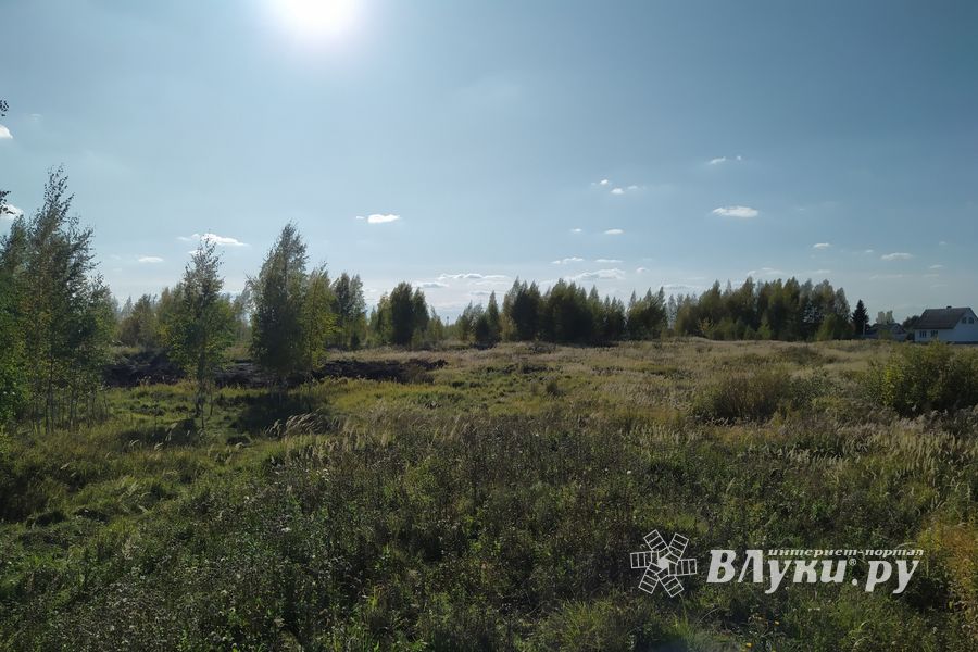 Будет ли здесь «город-сад» (ФОТО)