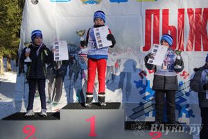 Всероссийская массовая лыжная гонка «Лыжня России 2015» состоялась в Великолукском районе (фото)