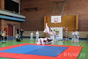 В Великих Луках прошло Первенство по тхэквондо (фото)