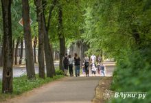 Как стать детским психологом дистанционно: программа обучения, сроки и стоимость курсов