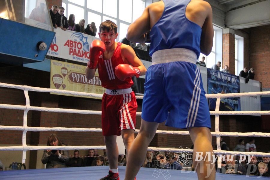 16-й Международный турнир по боксу (фото)