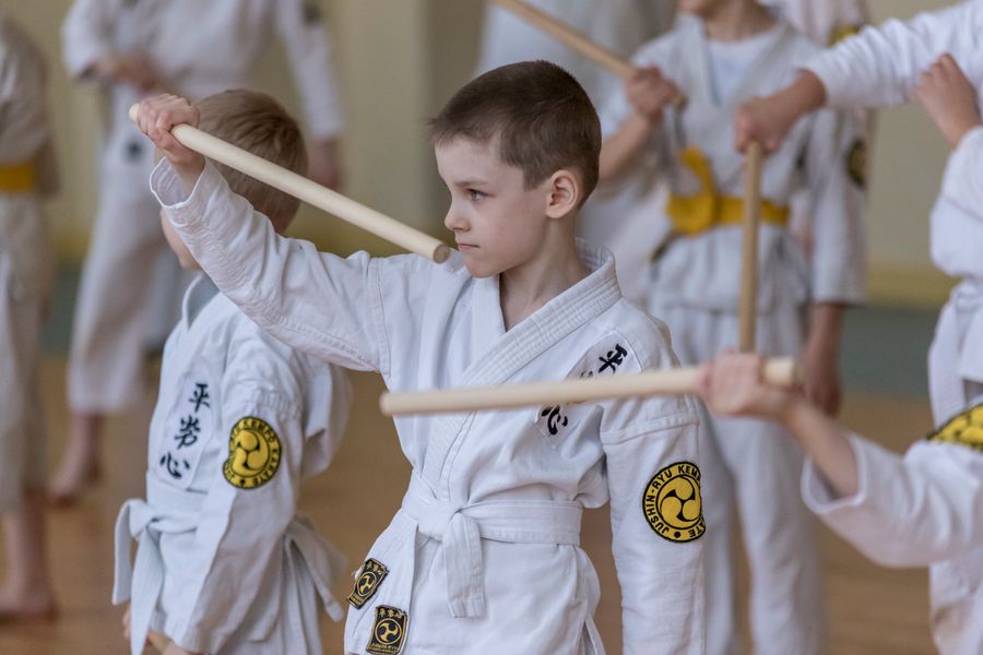 Ученики школы Дзюшин-рю кэмпо каратэ постигали искусство кобудзюцу (ФОТО)