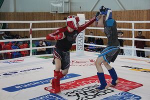 В Великих Луках завершилось Первенство России среди юношей по смешанному боевому единоборству ММА (ФОТО)