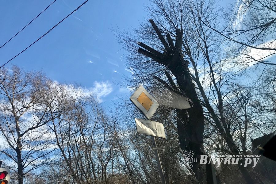 В Великих Луках удаляют угрожающие гражданам ветви (ФОТО)