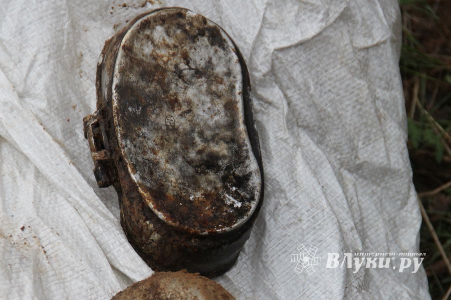 «Вахта памяти — 2016» в Псковской области (ФОТО + ВИДЕО)