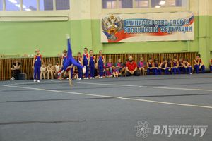 В Великих Луках состоялось Первенство по командной гимнастике (фото)