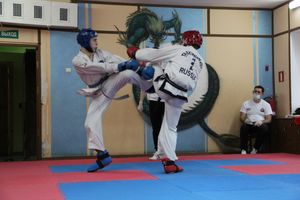 В Великих Луках прошли соревнования по тхэквондо (ФОТО)