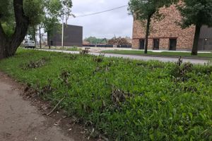 Грозы добавляют неухоженности Великим Лукам (ФОТО)