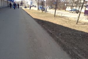 Весне дорогу!