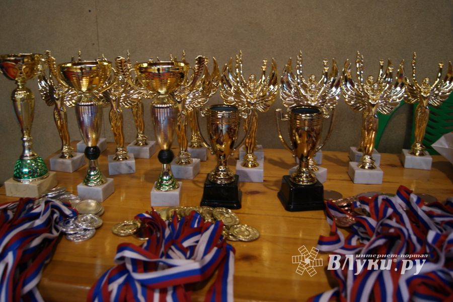 Великолучане завоевали призовые места на турнире по самбо «Память» (ФОТО)