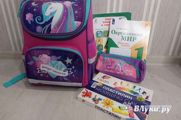 Счётная палата предложила ежегодно выплачивать к школе 20 тысяч рублей