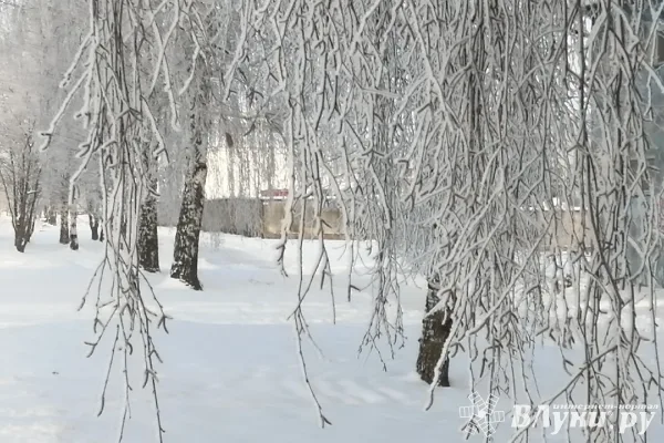 Жителей области предупреждают о аномально холодной погоде