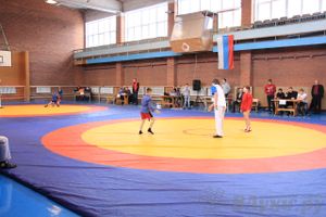 Состоялось Открытое первенство города Великие Луки по борьбе самбо