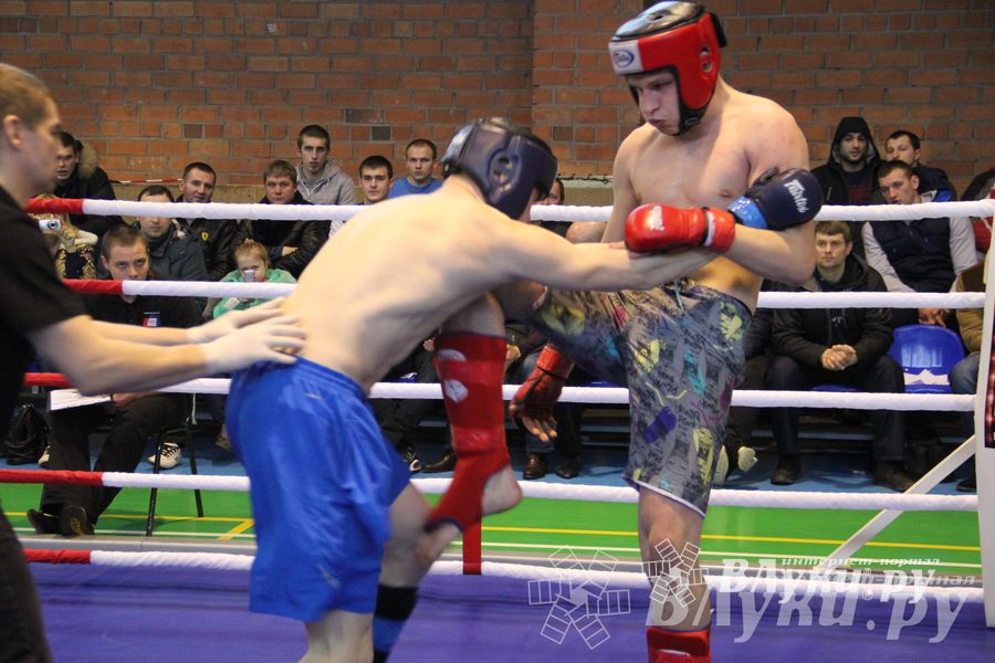 В Великих Луках прошел межрегиональный Открытый Кубок по смешанному боевому единоборству (фото)