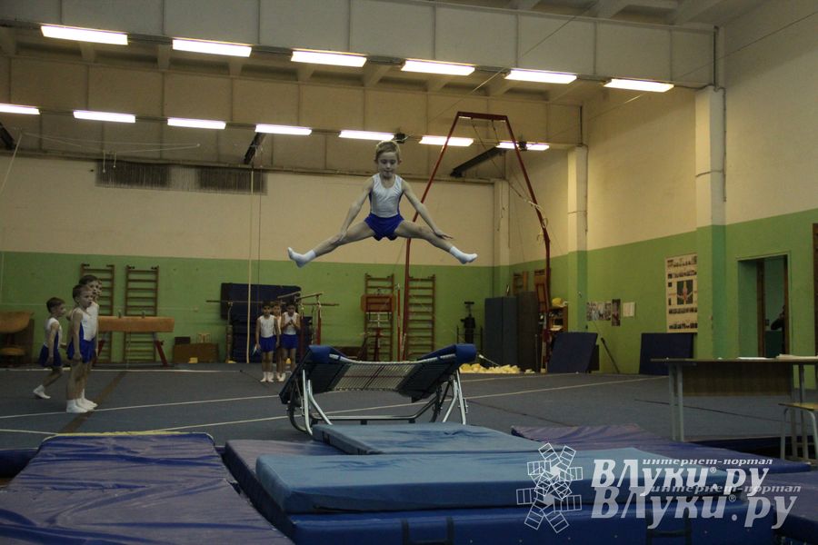 В Великих Луках состоялось Первенство по командной гимнастике (фото)