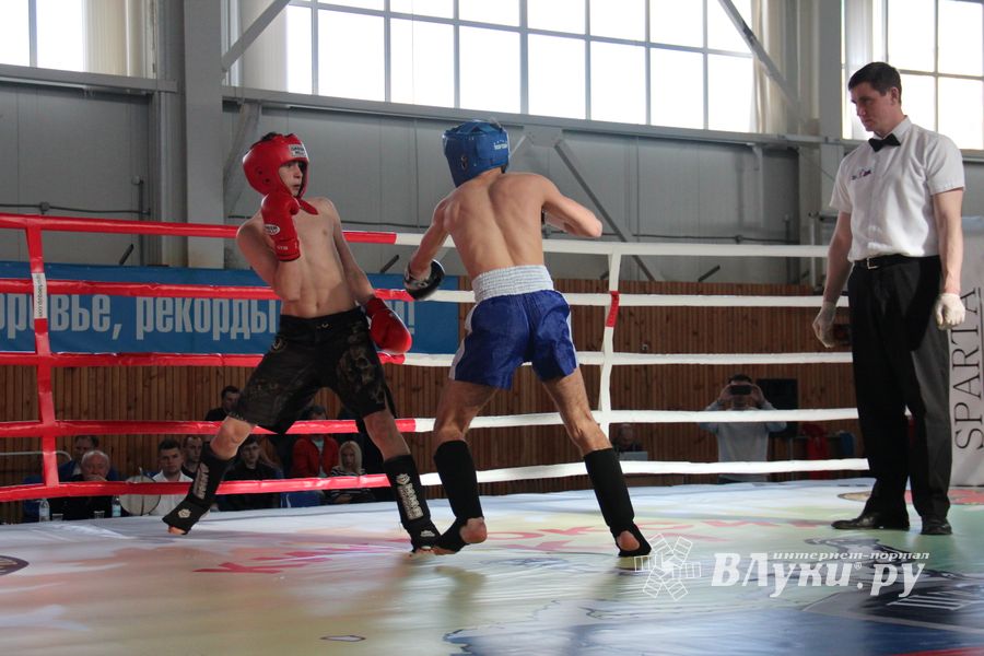 В Великих Луках прошел Кубок области по кикбоксингу (ФОТО)