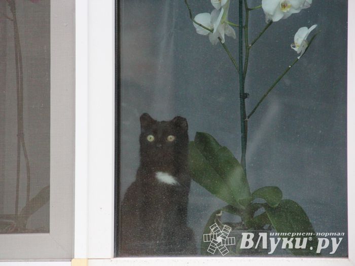 Ремонт прошел, а что осталось? (ФОТО)