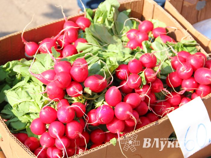 СТЦ «СтройСам» порадовал великолучан на универсальной ярмарке «Весна-2018» (ФОТО)