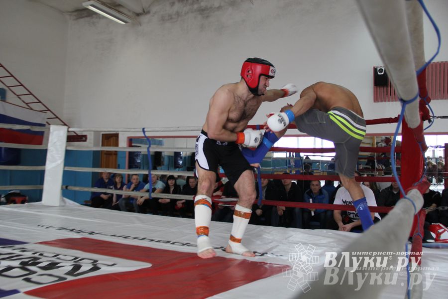 В Великих Луках прошел Чемпионат области по смешанному боевому единоборству (фото)