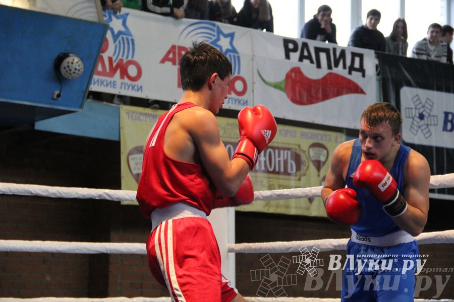 16-й Международный турнир по боксу (фото)