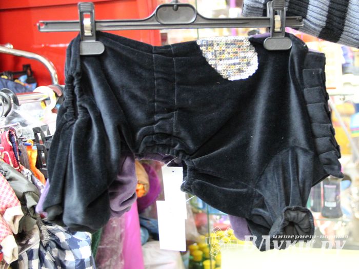 «Zooбастики»: подарите праздник своим любимцам! (ФОТО+ВИДЕО)